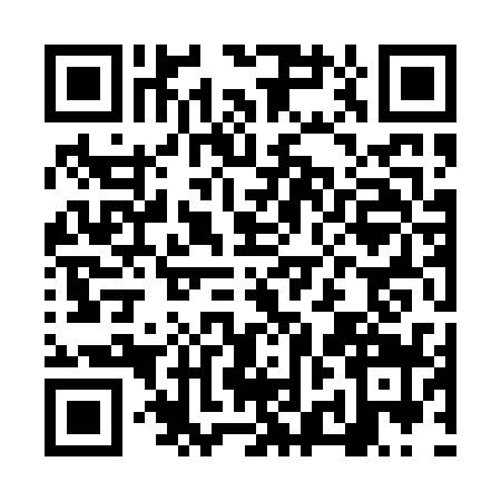 QR code for NZK0393