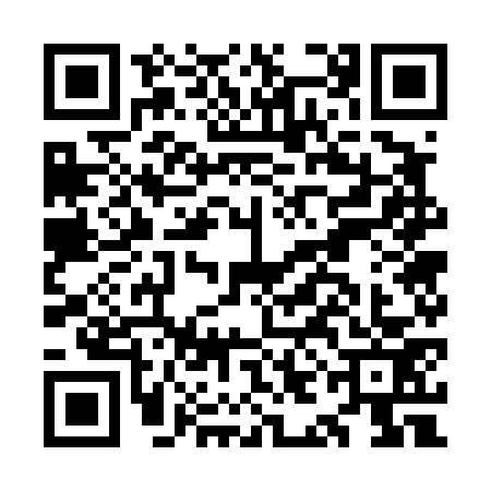 QR code for OIG4738