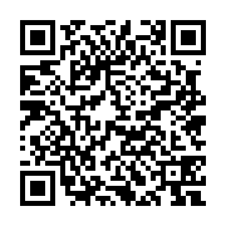 QR code for OLE0381