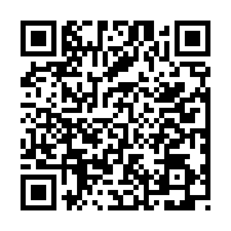 QR code for ONR4343