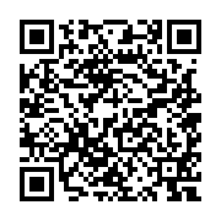 QR code for ORG1911