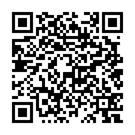 QR code for OSG0333