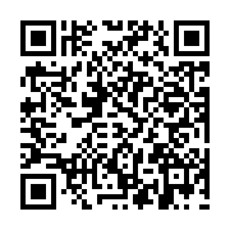 QR code for OYZ9029