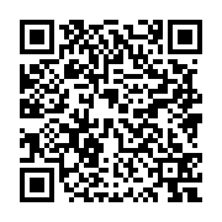 QR code for OZH5333