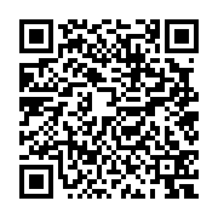 QR code for PAG0333
