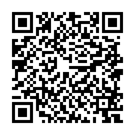 QR code for PAI5838