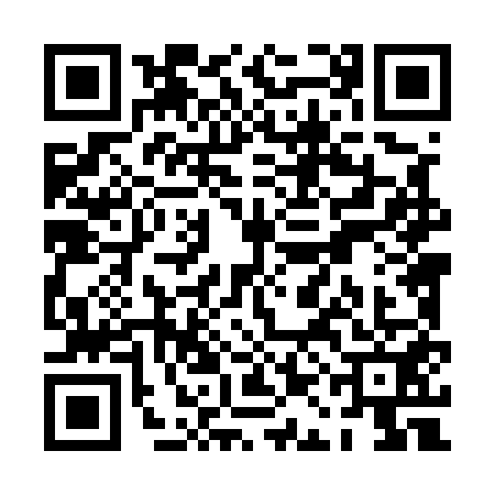 QR code for PAL5510