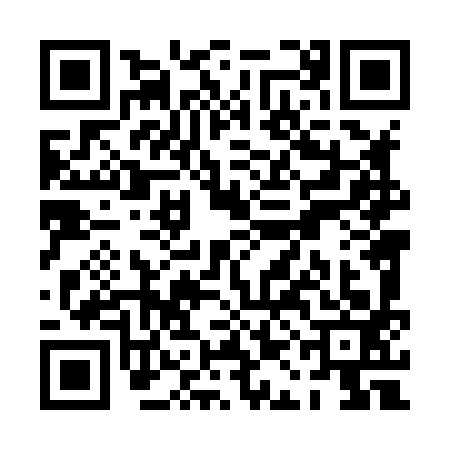 QR code for PAL8938