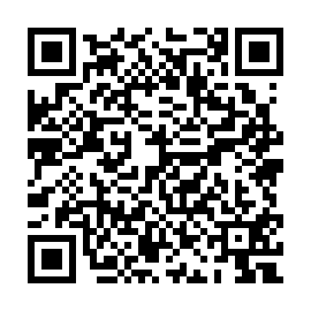 QR code for PAM3113