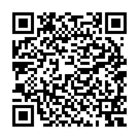 QR code for PAO2916