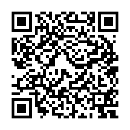 QR code for PAS2106