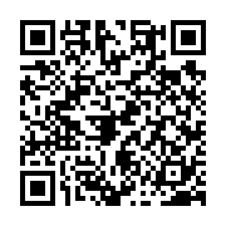 QR code for PAV6307