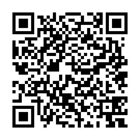 QR code for PAZ6385