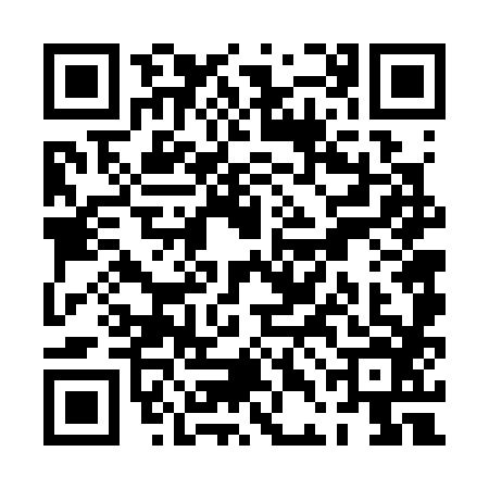 QR code for PDF3869