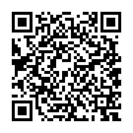 QR code for PDF4601