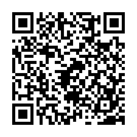 QR code for PDG3665