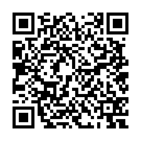 QR code for PDG4369