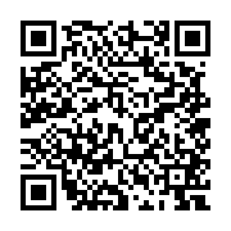 QR code for PEG5413