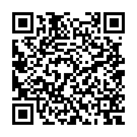 QR code for PEP0569
