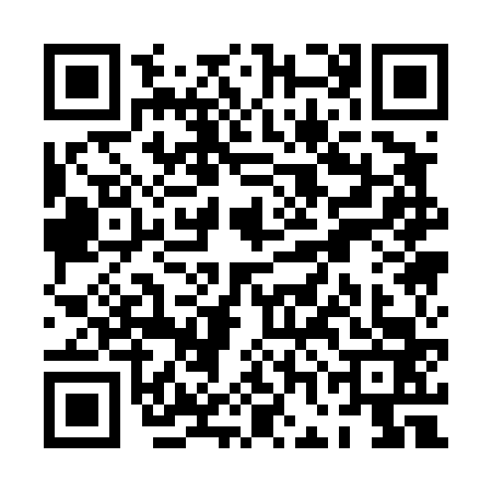 QR code for PGA4638