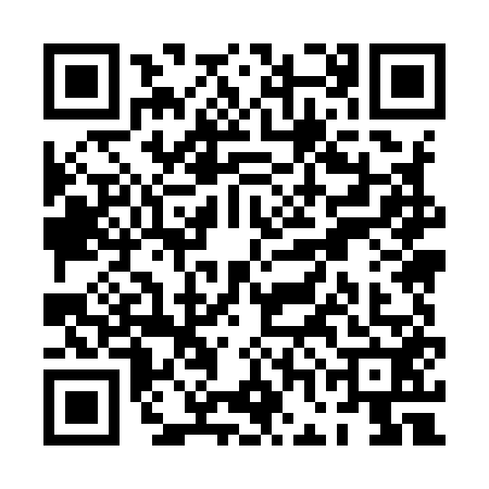 QR code for PGM9528
