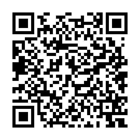 QR code for PGN3253