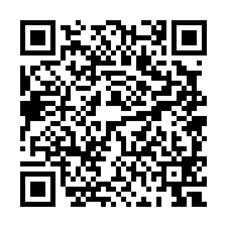 QR code for PGO0993