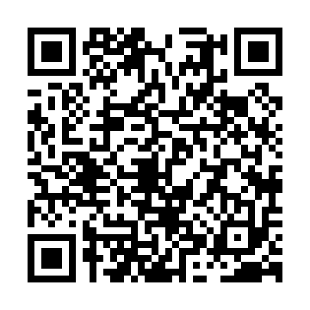 QR code for PHX0137
