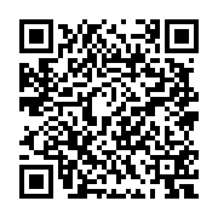 QR code for PHY4519
