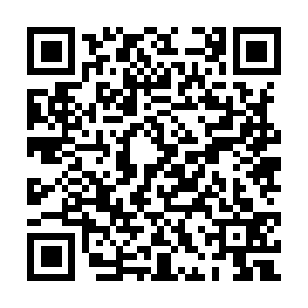 QR code for PHZ9339