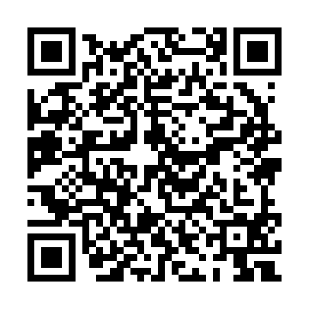 QR code for PII2942