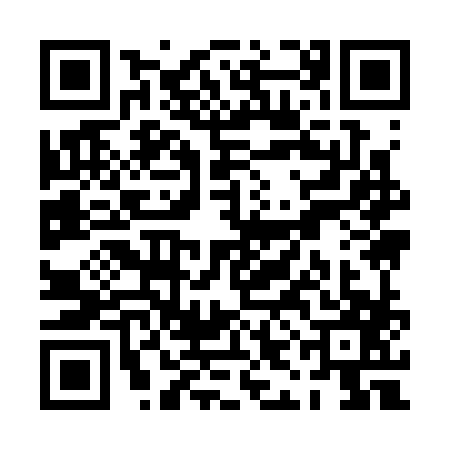 QR code for PII3875