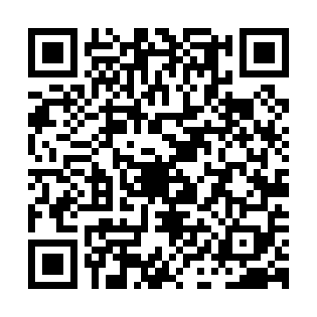 QR code for PIL0597