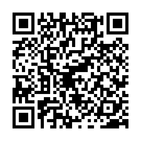 QR code for PIN0289