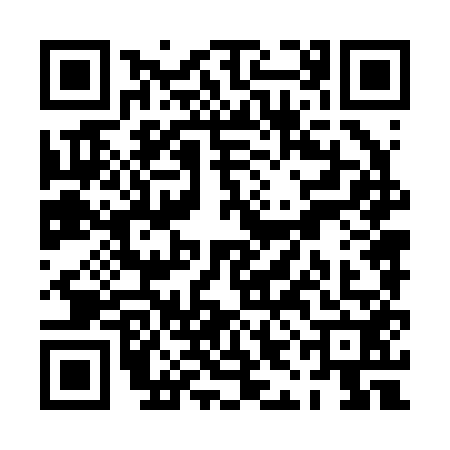 QR code for PIN2522