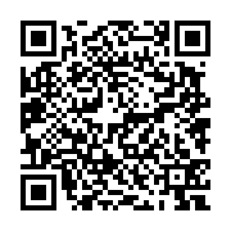 QR code for PIN4337