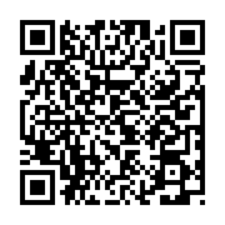 QR code for PIR0646