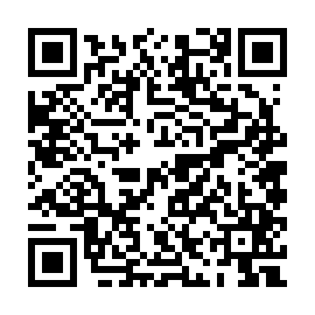 QR code for PIV2450