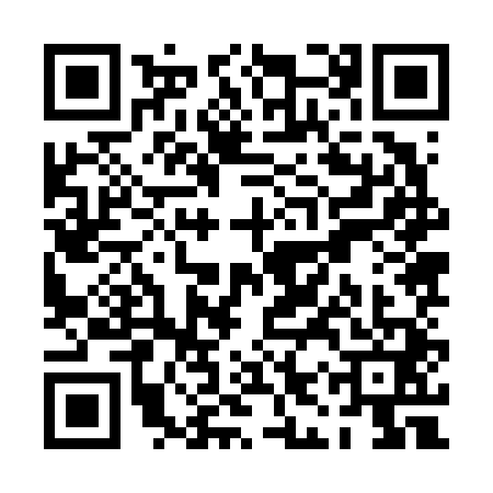 QR code for PIZ6416