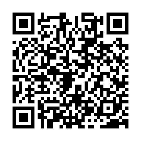QR code for PJF2013