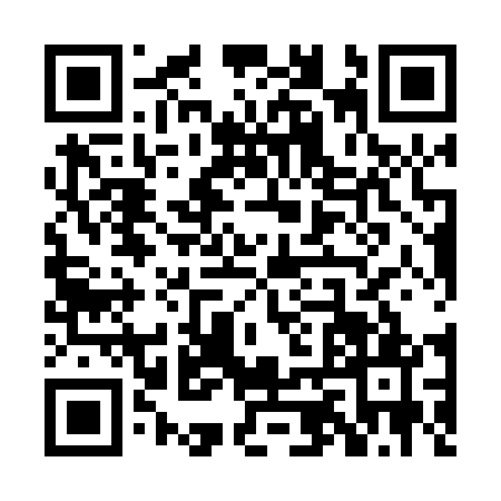 QR code for PJX0410