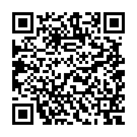 QR code for PLG4938