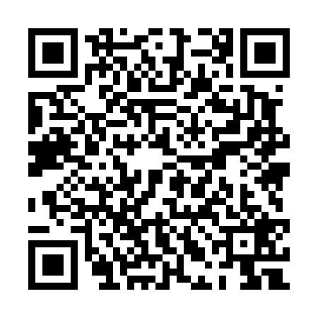 QR code for PLM4295