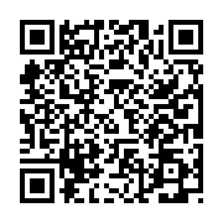 QR code for PLO9105
