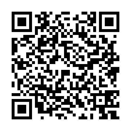 QR code for PLX1383