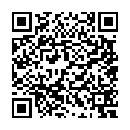 QR code for PLZ0597