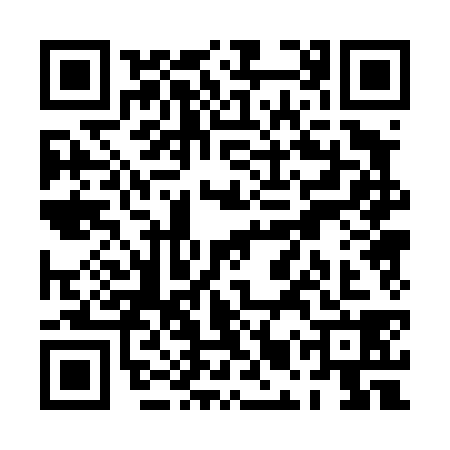 QR code for PMP4383