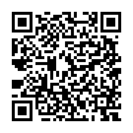 QR code for PMS4867