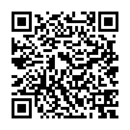 QR code for PMU0384