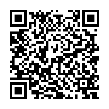 QR code for PNM0133